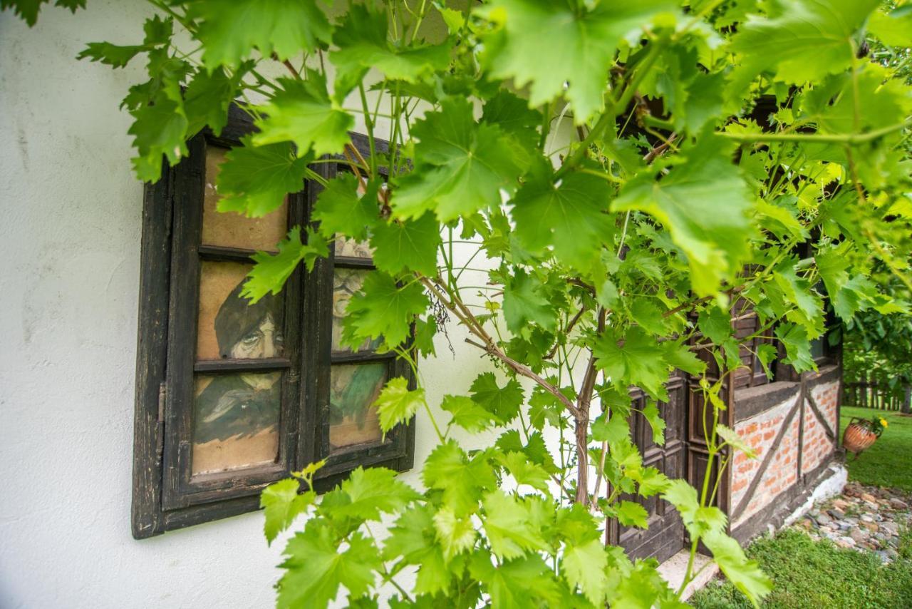 Lodge Morava Vrnjačka Banja 外观 照片